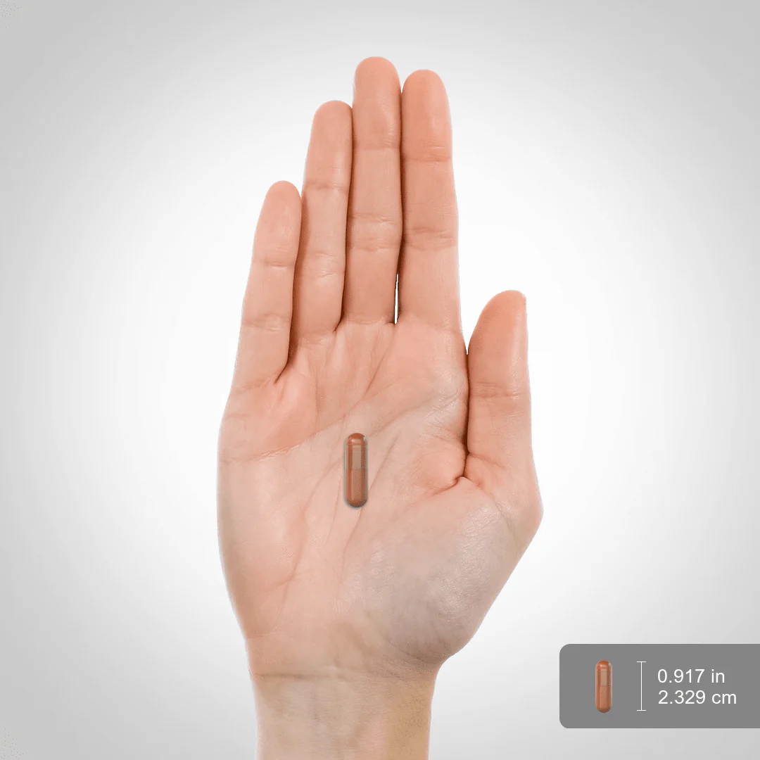 Cat's Claw (Una De Gato), 1000 mg (per serving), 200 Quick Release Capsules - Image 3