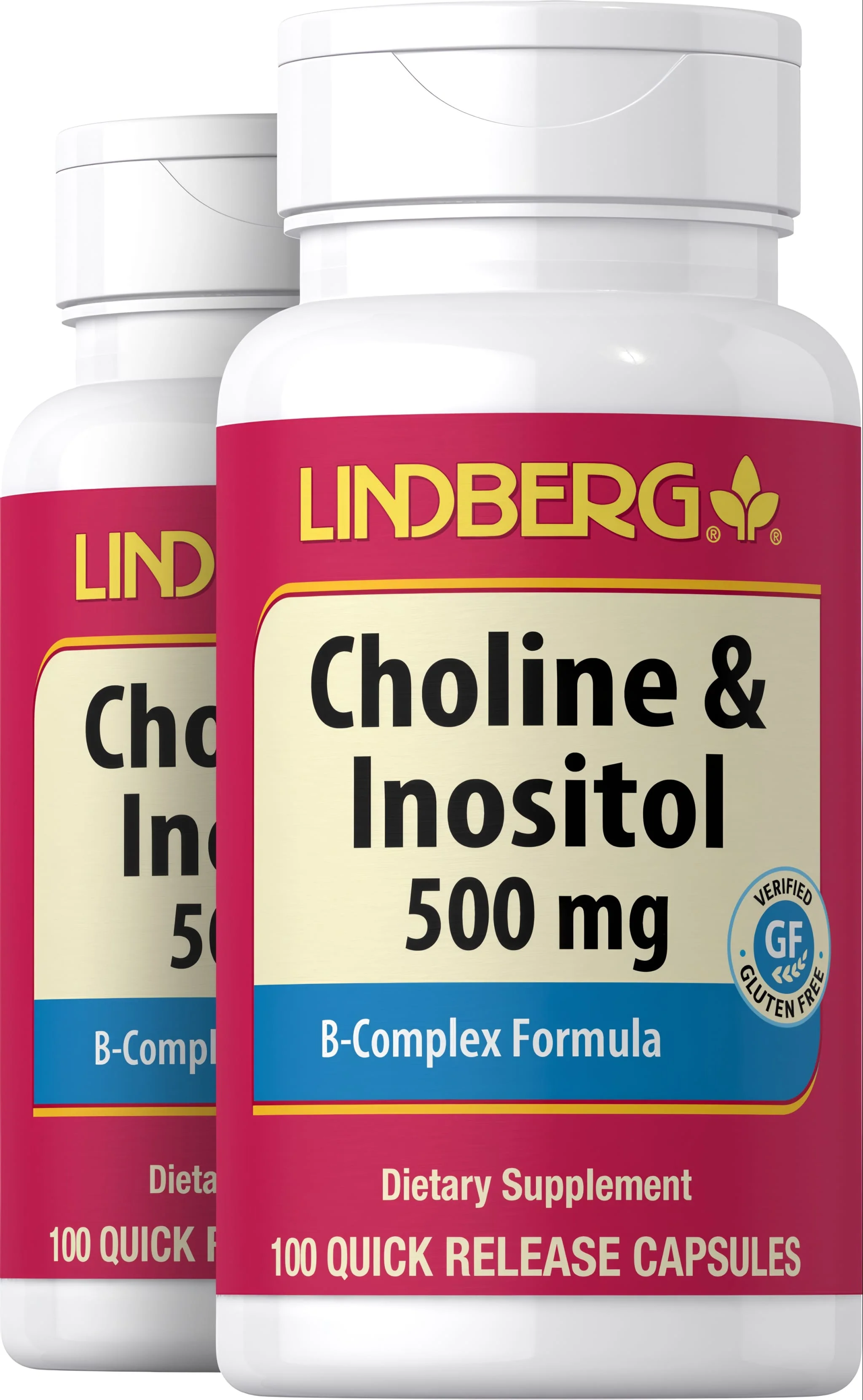 Choline & Inositol 500 mg, 100 Quick Release Capsules, 2 Bottles